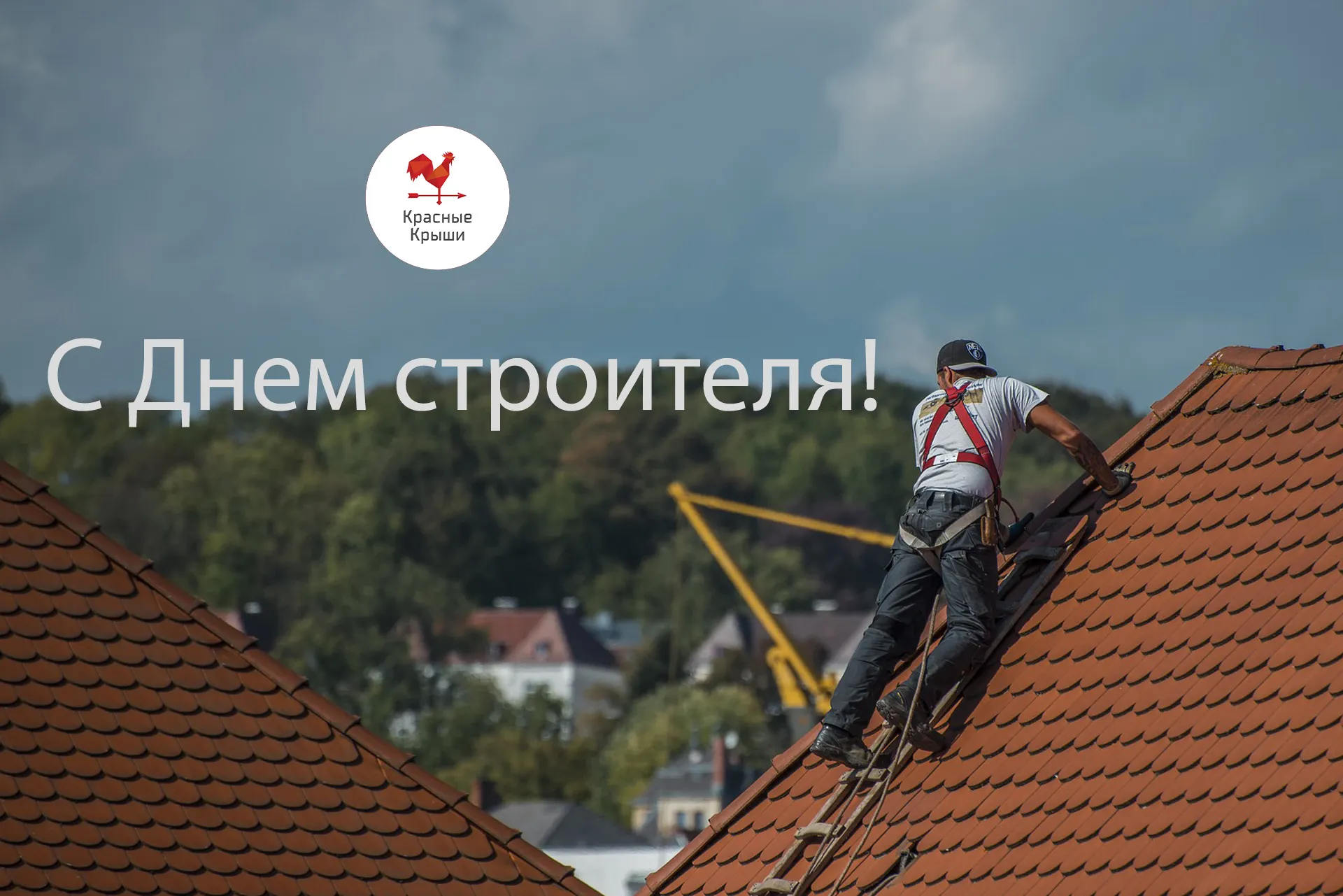 сдс.jpg