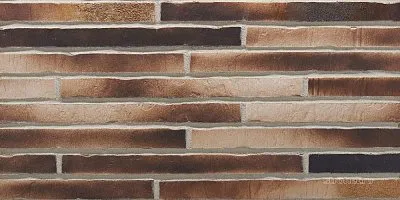 Клинкерная облицовочная плитка, 490×40×14 мм, 451 gold-braun, Stroeher
