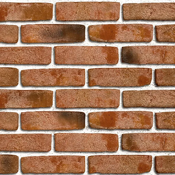 Облицовочный кирпич MOORBRAND Песочно-желтый пестрый (sandgelb-bunt) ручн.форм. (handform), 240x115x71 мм, Röben, изобр. 1
