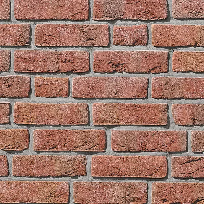 Облицовочный кирпич FORMBACK Светло-красный пестрый (hellrot-bunt) ручн.форм. (handform), 240x115x71 мм, Röben