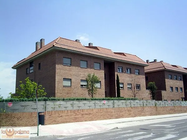 Облицовочный клинкерный кирпич, 230х70х65 мм, Galicia, La Paloma ceramicas, изобр. 3